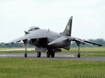 Harrier 02 | 1024x768