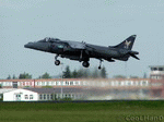 Harrier 03 | 1024x768