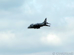 Harrier 05 | 1024x768