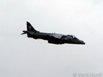 Harrier 06 | 1024x768