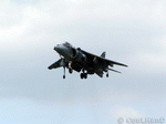 Harrier 09 | 1024x768