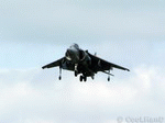 Harrier 10 | 1024x768
