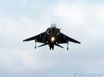 Harrier 11 | 1024x768