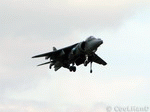 Harrier 12 | 1024x768