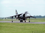 Harrier 13 | 1024x768