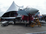 Typhoon 01 | 1024x768