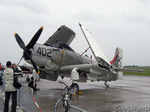 Skyraider | 1024x768