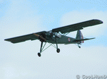 Storch | 1024x768